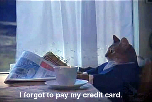 what to do if you forget to pay your credit card