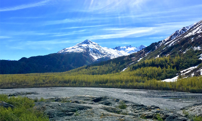 exit glacier seward alaska