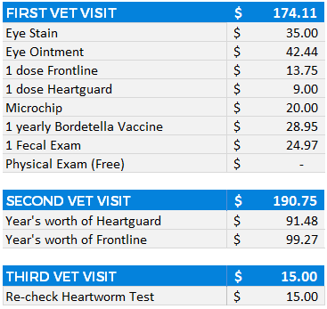 dog adoption vet visit costs