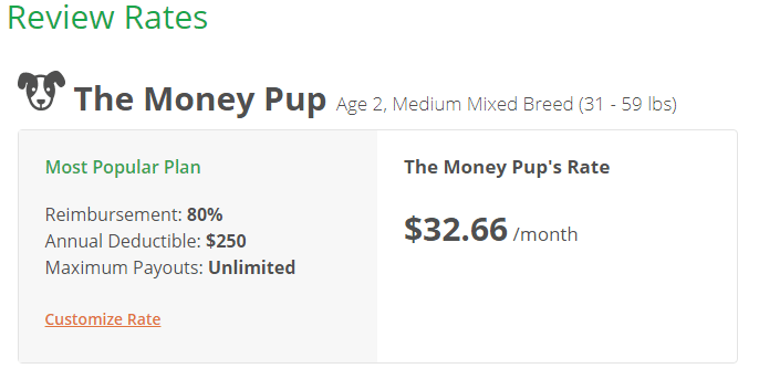 the money pup pet insruance scam