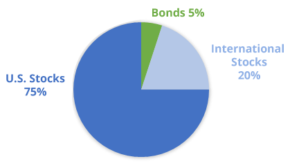 95% stock three fund portfolio allocation