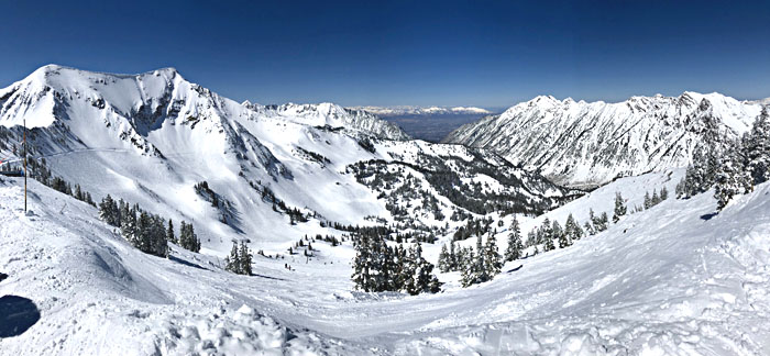 alta snowbird