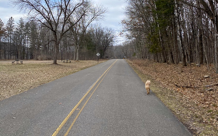 empty state park