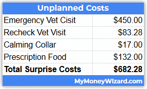 unplanned costs of a cat