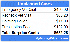 How much does it cost to adopt a cat? I tracked every expense for 6