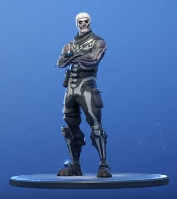 fortnite skin