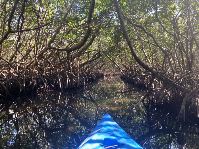 florida kayaking