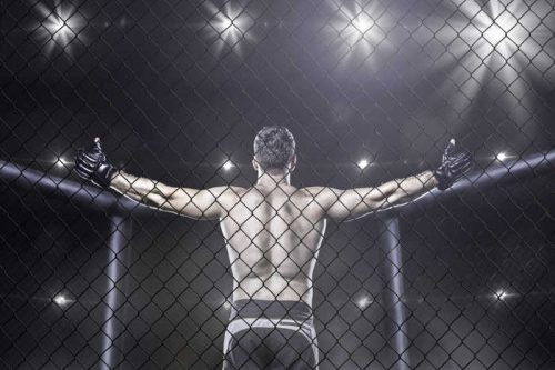 dana white rise of the ufc dana white rise of the ufc